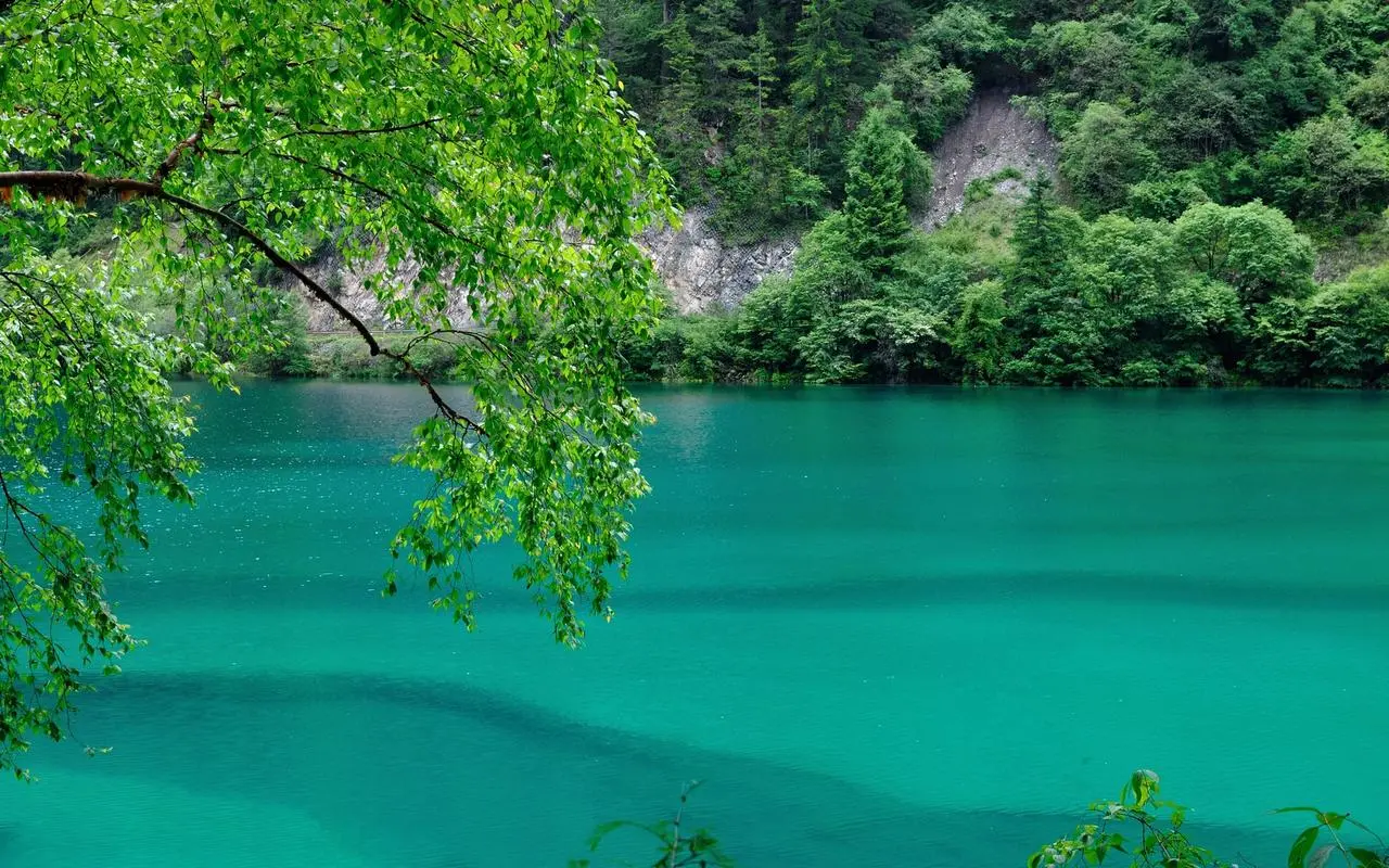 高性能高效高端